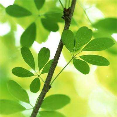 欧宝江南官方下载截图