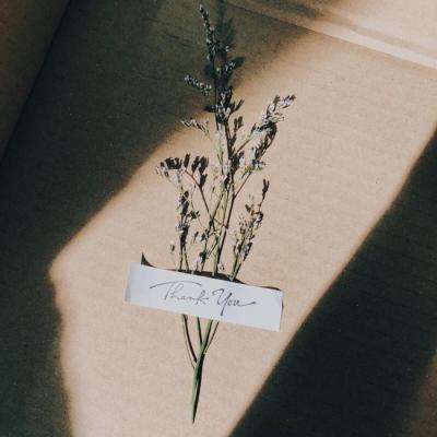 新manbetx-万博全站