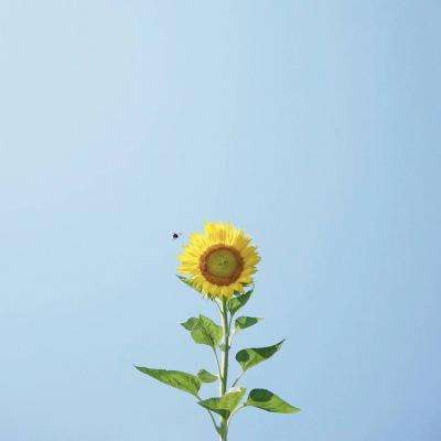 天博tb·综合体育