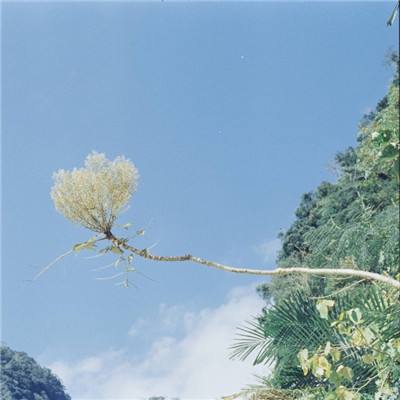 半岛平台半岛官方下载