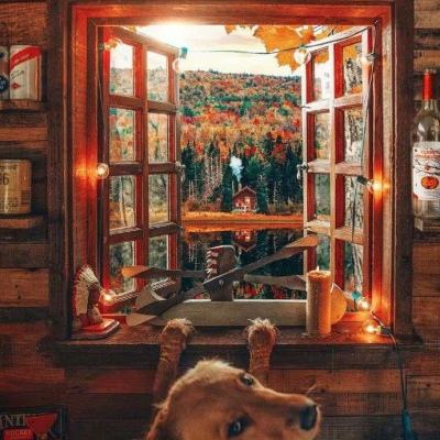 欧宝江南官方下载截图