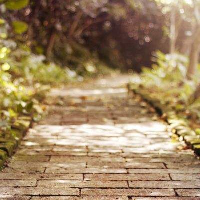 江南APP手机app下载